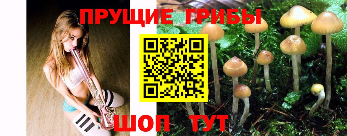 Галлюциногенные грибы Magic Shrooms  Вход с VPN  Азов 